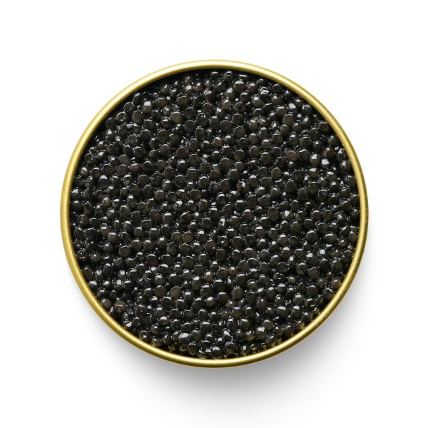 Caviar