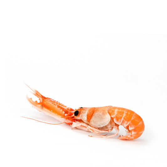 Langoustines